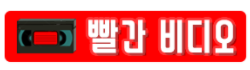 빨간비디